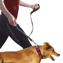 Person displaying properly walking dog with leash.