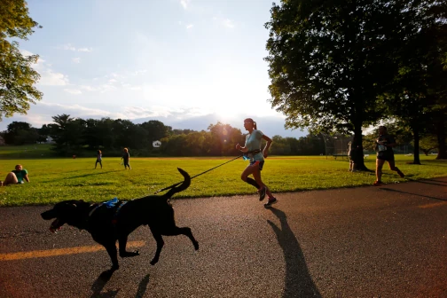 An image of a woman running with her dog in a park at dawn.